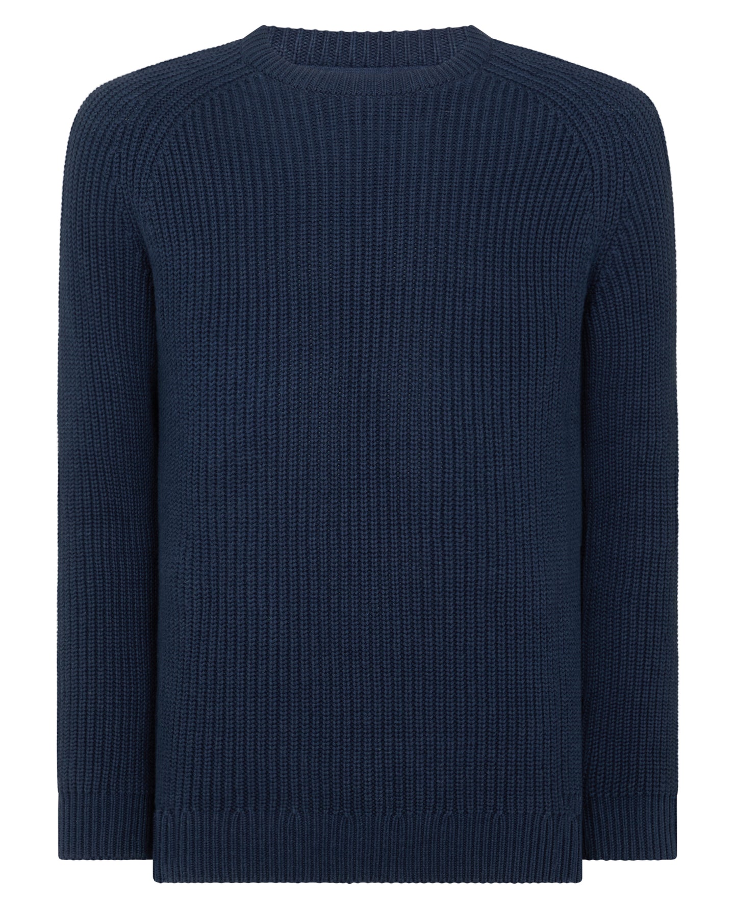 Man wearing a blue Tapered Fit Chunky Knit Sweater