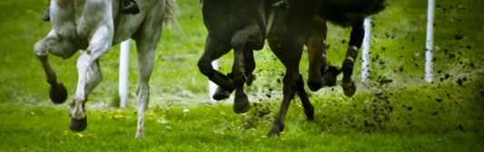 Odds-On Style For Race Season