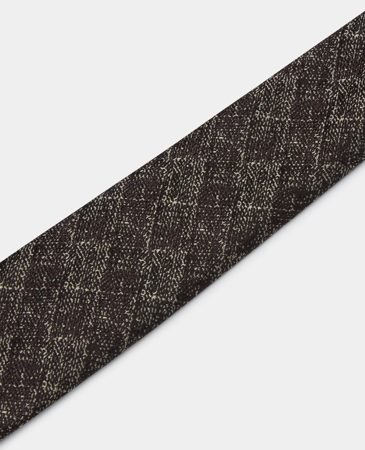 Man wearing a brown Semi-Plain Design Tie