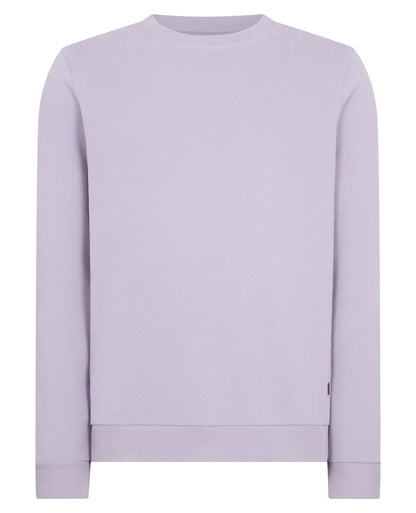 Crew Neck Terry Embroidered Sweatshirt